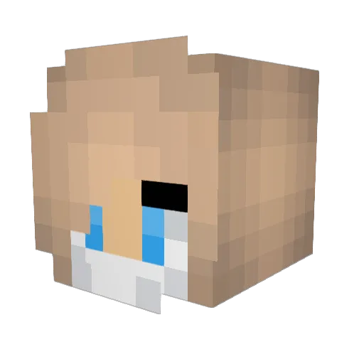 elizqbxth Minecraft avatar head, 3D render