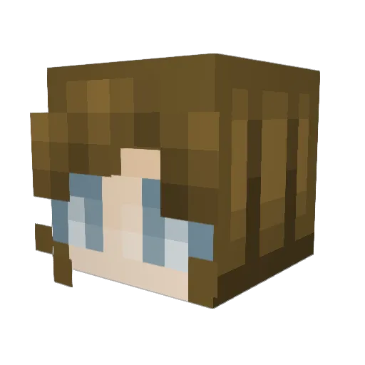 eljay1199 Minecraft avatar head, 3D render