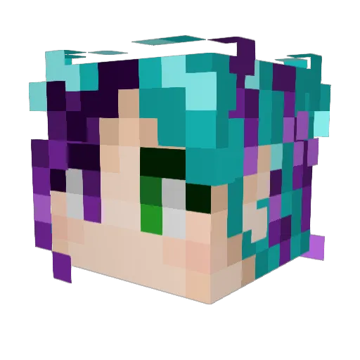 elka2011 Minecraft avatar head, 3D render