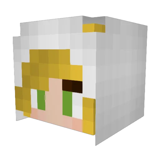 elkhart5 Minecraft avatar head, 3D render