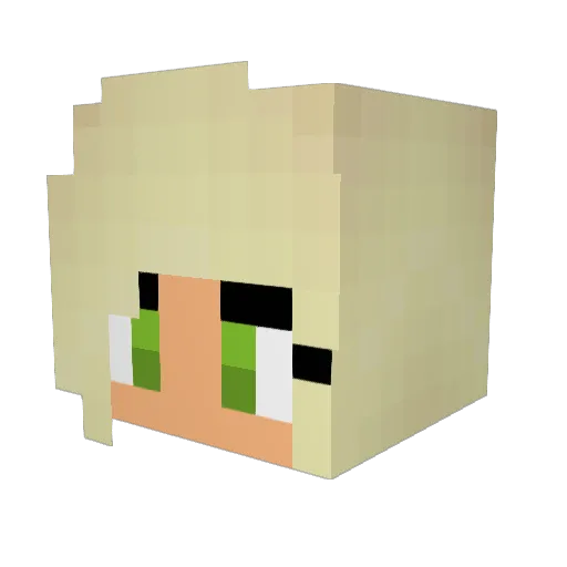 elladunn2002 Minecraft avatar head, 3D render