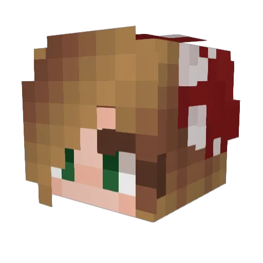 ellag0901 Minecraft avatar head, 3D render