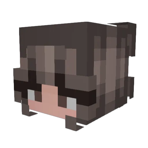 ellal111 Minecraft avatar head, 3D render