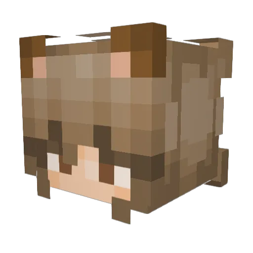 ellam00n Minecraft avatar head, 3D render