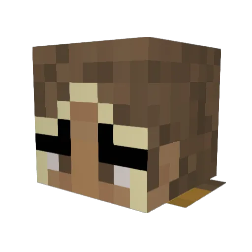 ellanicole20 Minecraft avatar head, 3D render