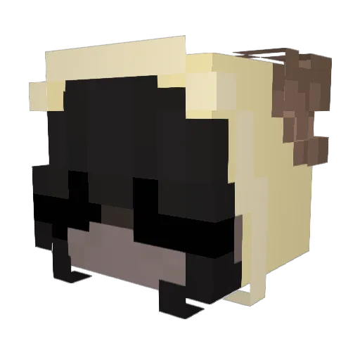 ellaqt Minecraft avatar head, 3D render