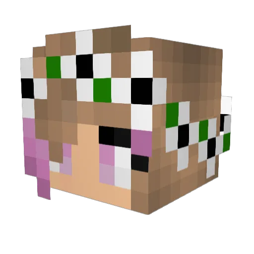 ellarose101 Minecraft avatar head, 3D render
