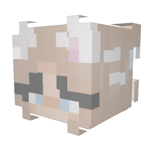 ellashy2004 Minecraft avatar head, 3D render