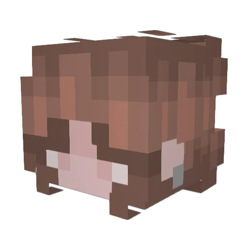 elle4285 Minecraft avatar head, 3D render