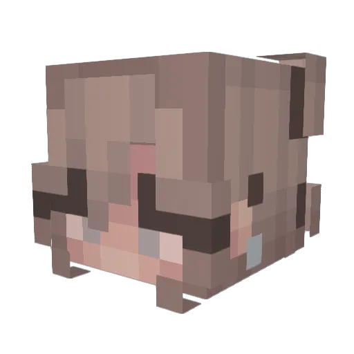 elle_xo Minecraft avatar head, 3D render