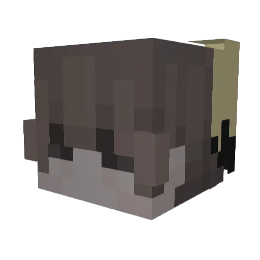 ellemonke Minecraft avatar head, 3D render