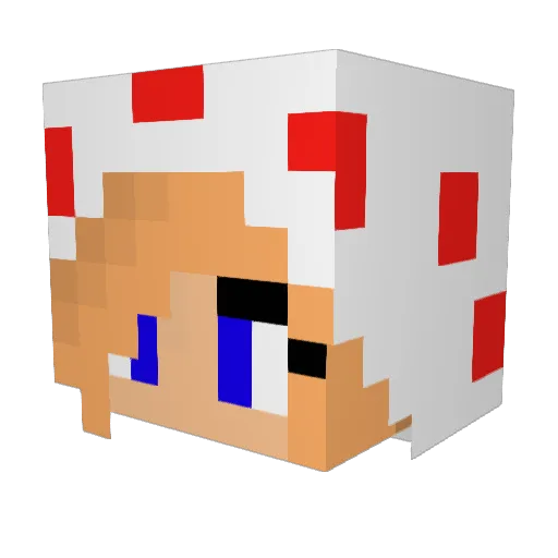 ellenlien Minecraft avatar head, 3D render