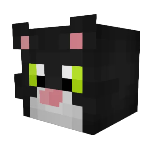 ellenoir310 Minecraft avatar head, 3D render