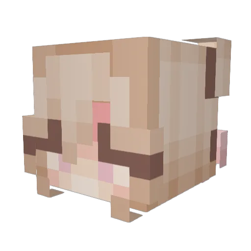 elleokitty Minecraft avatar head, 3D render