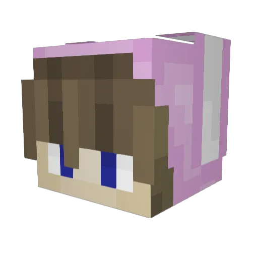 ellephants2201 Minecraft avatar head, 3D render