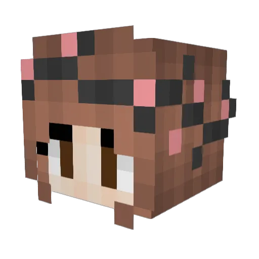 elleshoo Minecraft avatar head, 3D render
