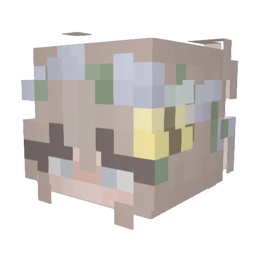 elli_beli Minecraft avatar head, 3D render