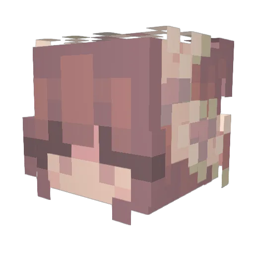 ellianat Minecraft avatar head, 3D render