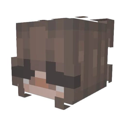 ellieiscool_ Minecraft avatar head, 3D render