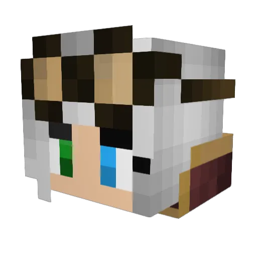 elliejiang Minecraft avatar head, 3D render