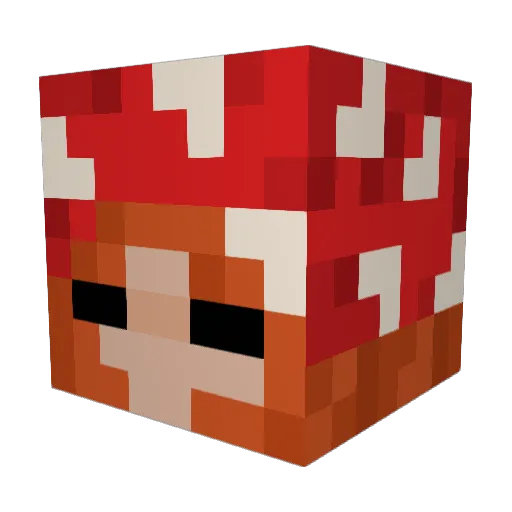 elliemay125 Minecraft avatar head, 3D render