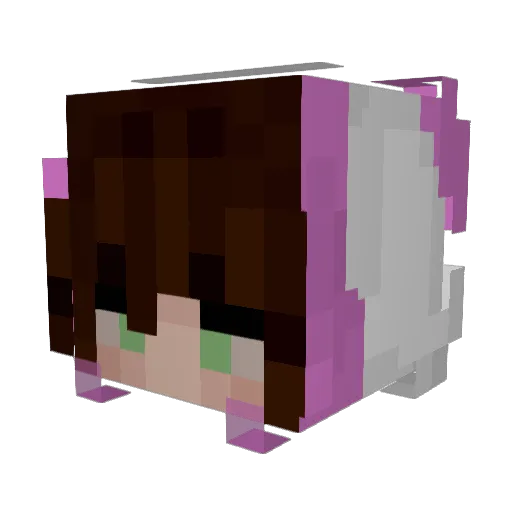 elliessadlife Minecraft avatar head, 3D render