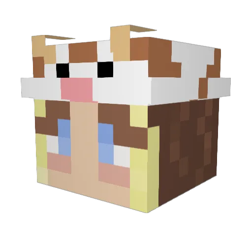 elliet05 Minecraft avatar head, 3D render