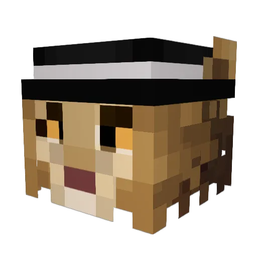 ellions Minecraft avatar head, 3D render