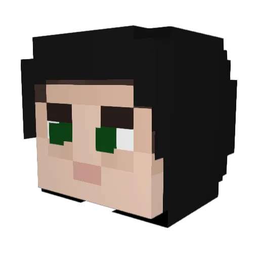 elliot__alderson Minecraft avatar head, 3D render