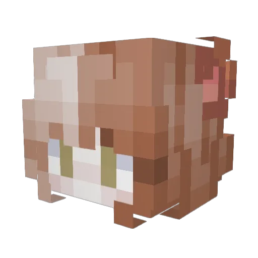 ellipticity Minecraft avatar head, 3D render