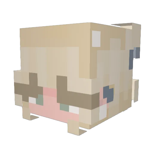 ellivat0r Minecraft avatar head, 3D render