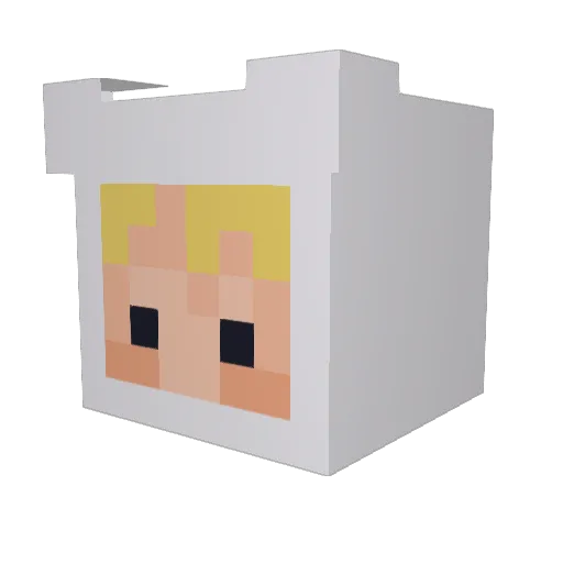 ellixirr Minecraft avatar head, 3D render
