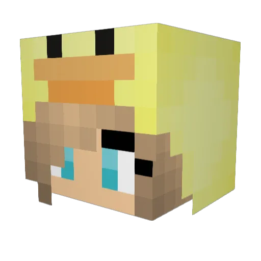 elllen55 Minecraft avatar head, 3D render