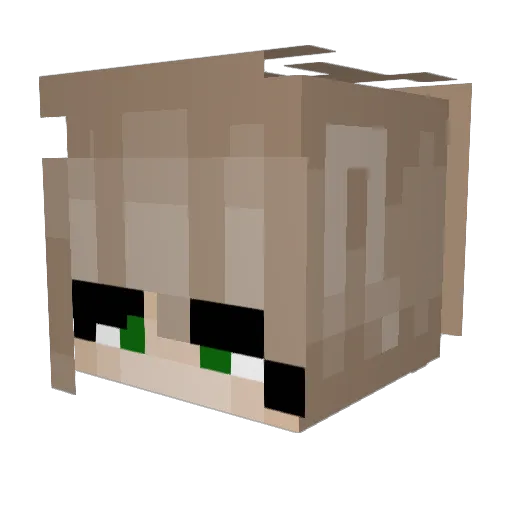 elllieeeeee Minecraft avatar head, 3D render