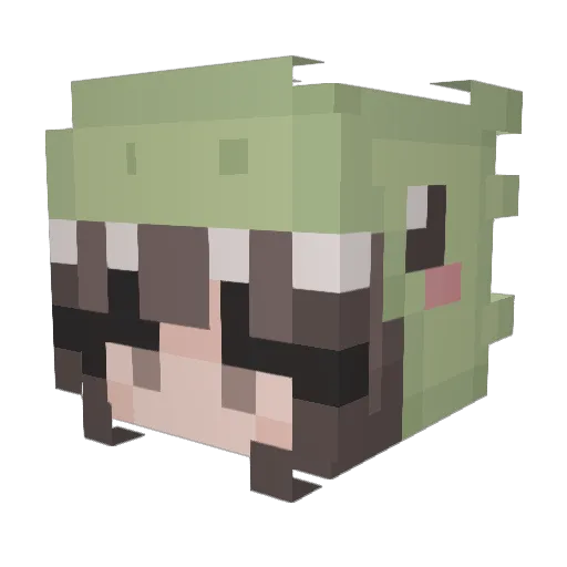 elllproaso100 Minecraft avatar head, 3D render