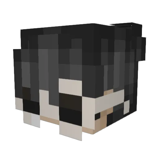 ello3000 Minecraft avatar head, 3D render