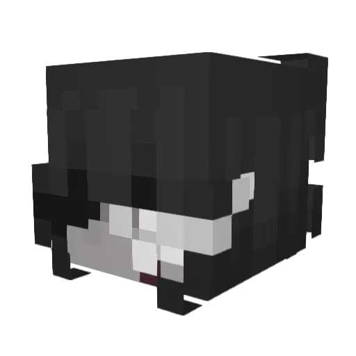ello3005 Minecraft avatar head, 3D render