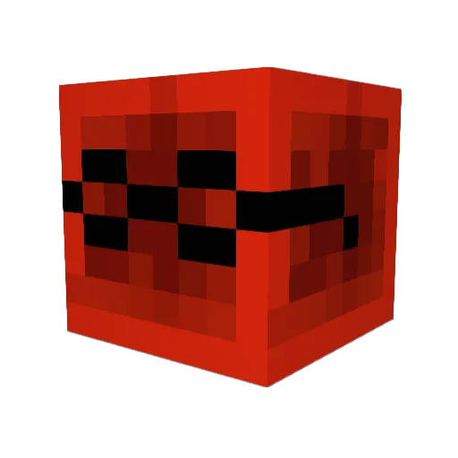 elloRUBICON Minecraft avatar head, 3D render