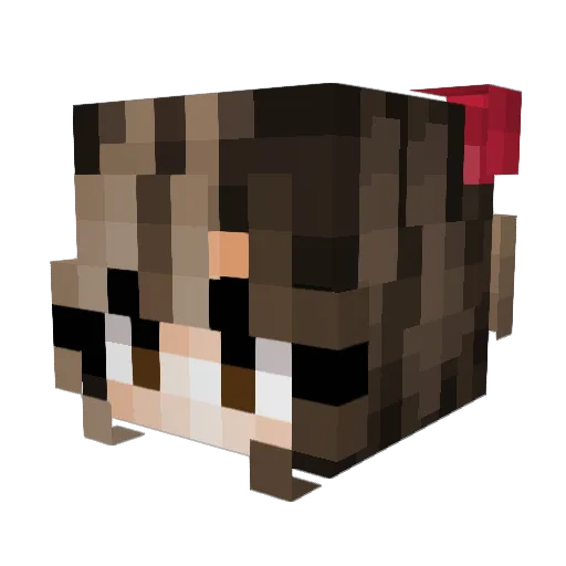 ells_b3lls_33 Minecraft avatar head, 3D render