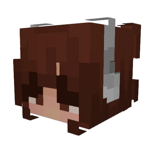 ellums_ Minecraft avatar head, 3D render