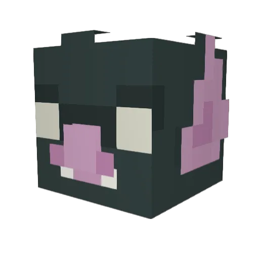ellyeet Minecraft avatar head, 3D render