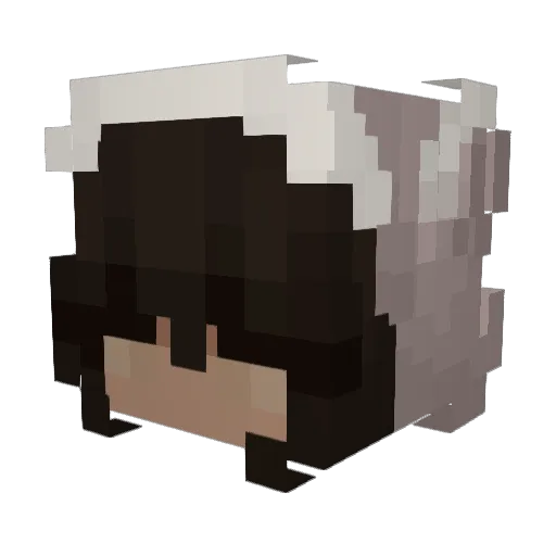 ellynim Minecraft avatar head, 3D render