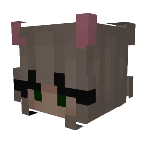 ellysgone Minecraft avatar head, 3D render