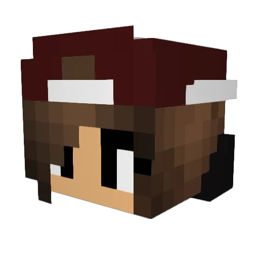 ellzpicottin Minecraft avatar head, 3D render
