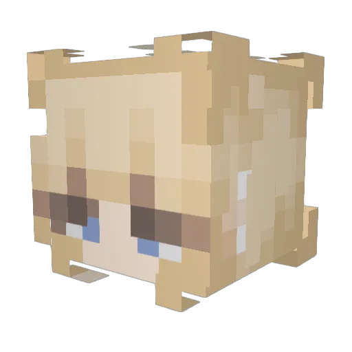 elma00 Minecraft avatar head, 3D render