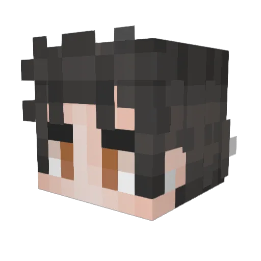 elmecobot Minecraft avatar head, 3D render
