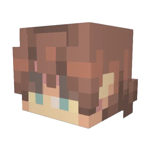 elmo312 Minecraft avatar head, 3D render