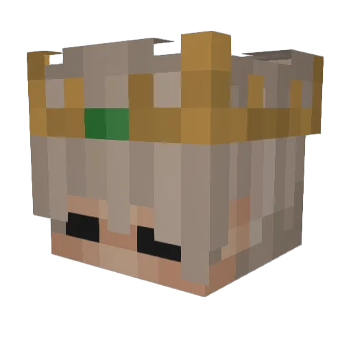 eloicyanide Minecraft avatar head, 3D render