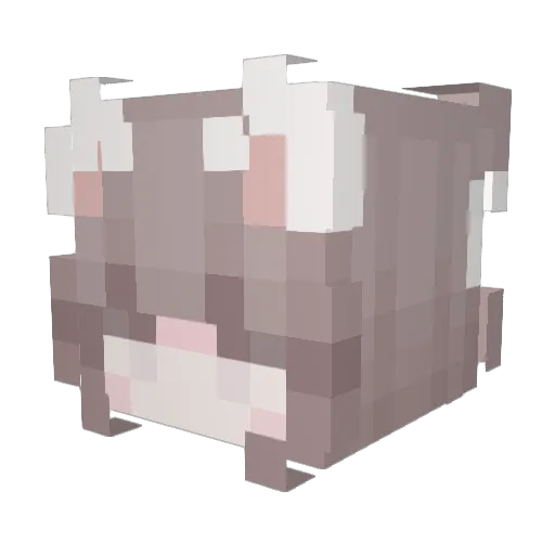 elors Minecraft avatar head, 3D render