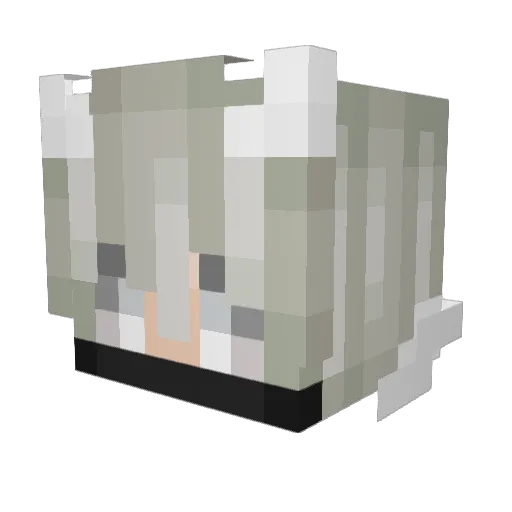 elouan2010 Minecraft avatar head, 3D render